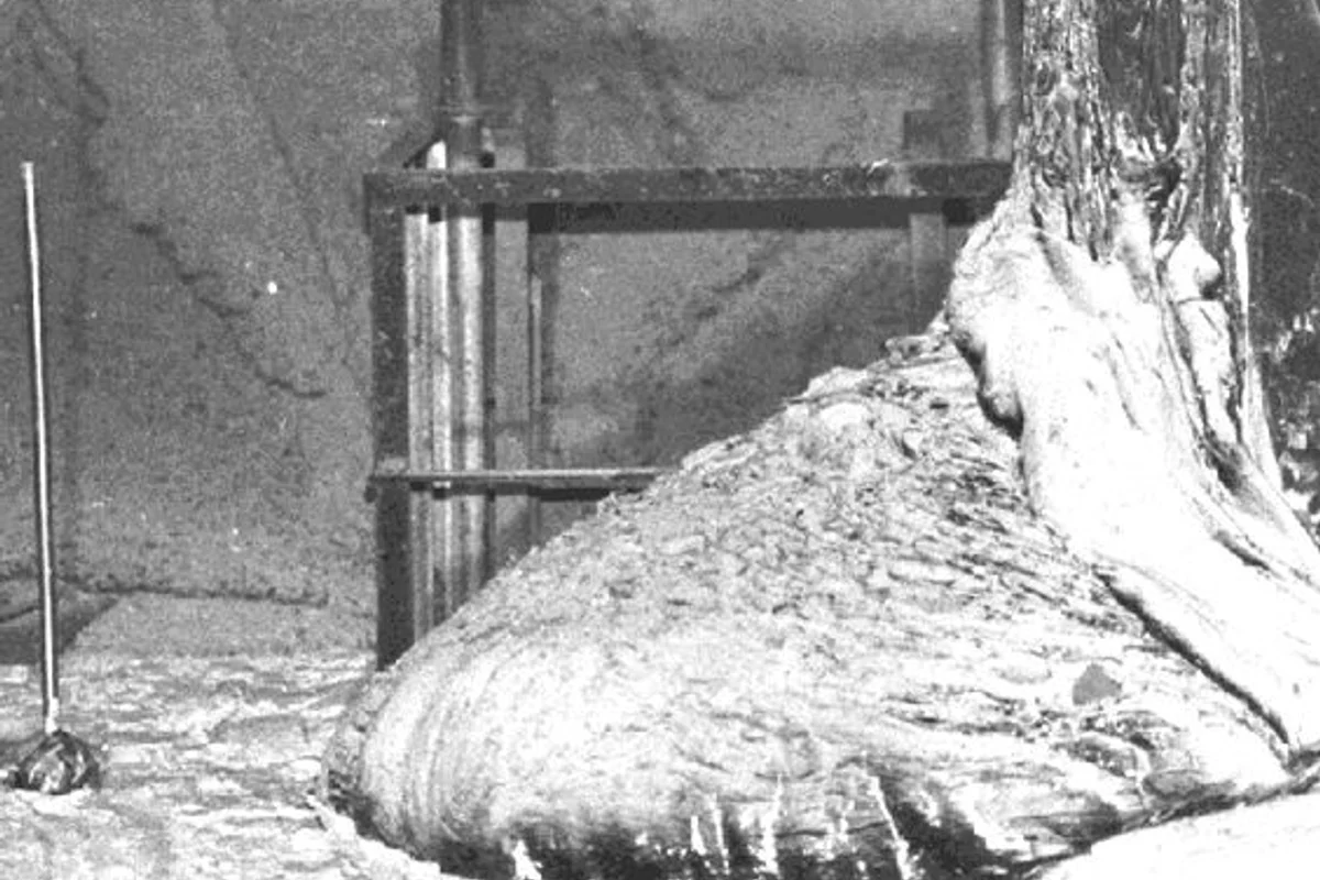 Слоновья нога — застывший кориум в подвале 4-го энергоблока ЧАЭС, 1996 год